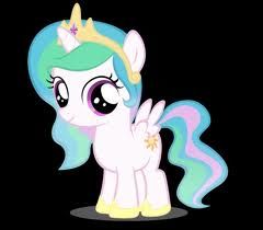 poni3.jpg