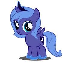 poni4.jpg